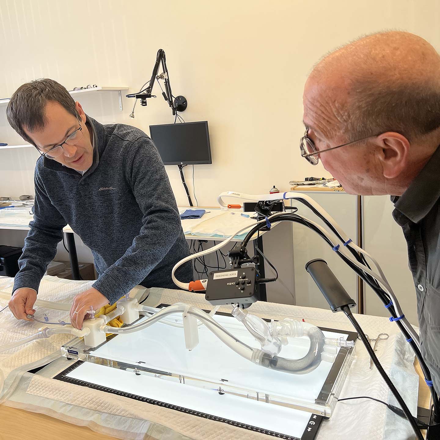 Emboline medical experts