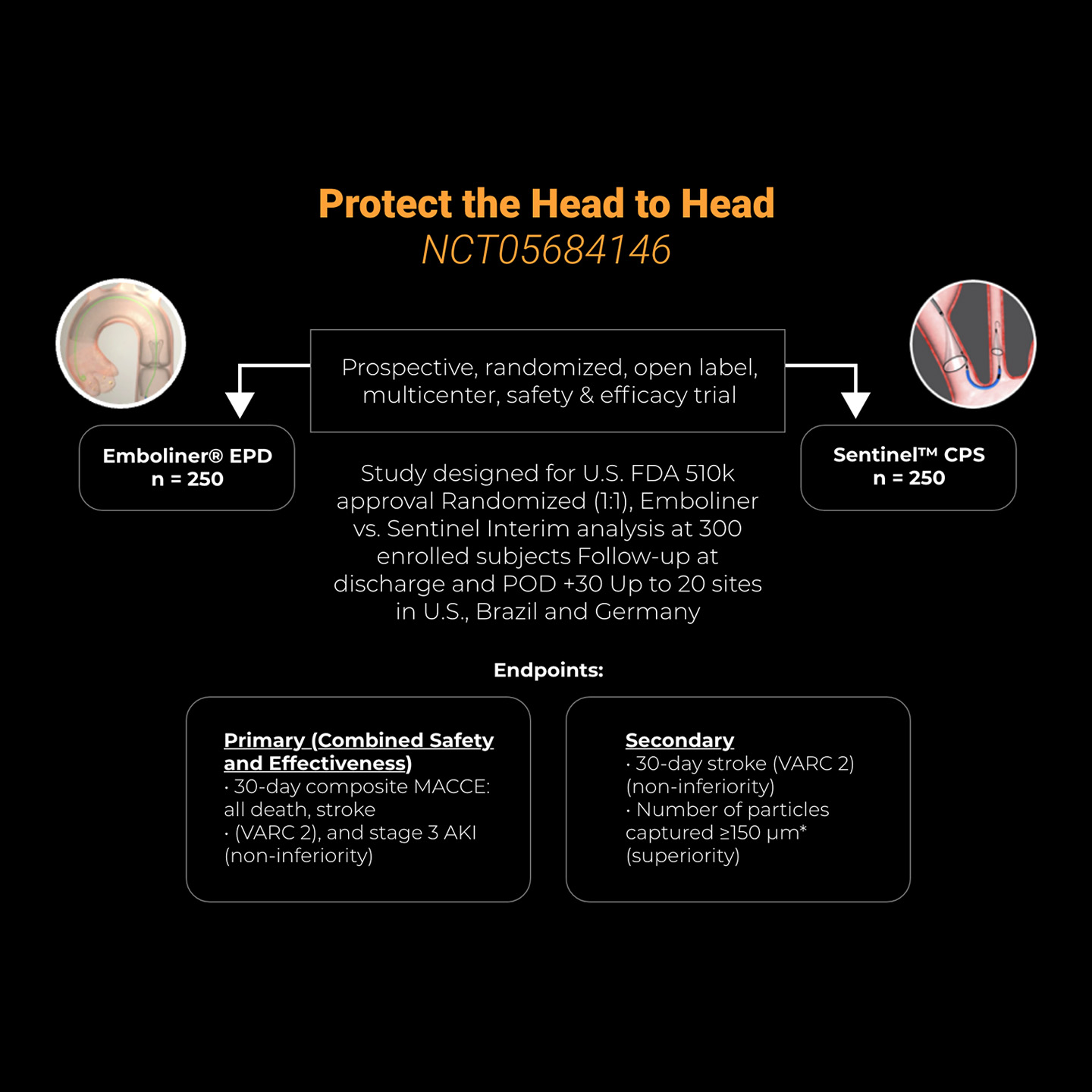 Protect the Head to Head  infographic